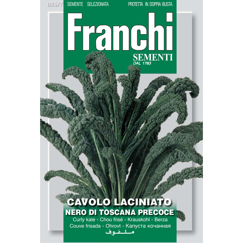 Cavolo Nero Of Tuscany